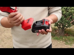 Auston AES20-4 Schneider