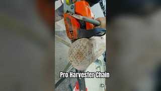 Pro Harvester-Sägekette, EU-US-Qualität